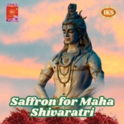 Saffron for Maha Shivaratri Significance, Benefits, and Ritual Usage