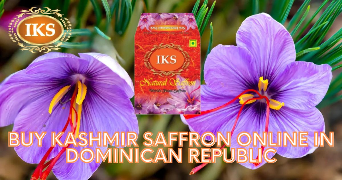 Buy Kashmir Saffron Online in Dominican Republic | Best Quality Kashmir Kesar in Dominican Republic | Pure Kumkumpuvvu in Dominican Republic | Kashmiri Zafran in Dominican Republic | Saffron Shop in Dominican Republic | Pure Original Best Quality Authentic Kashmir Saffron in Dominican Republic Santo Domingo Punta Cana Puerto Plata La Romana Bavaro Sosua Samana Cabarete Las Galeras Santiago