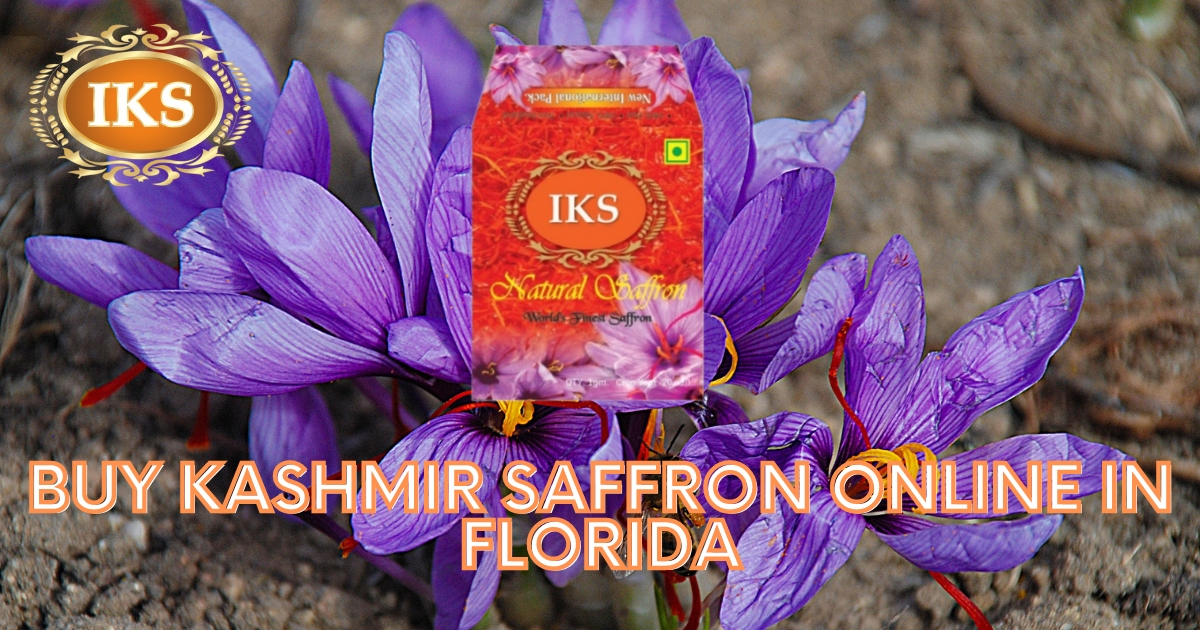 Buy Kashmir Saffron Online in Florida Best Quality Kashmir Kesar in Florida Best Saffron Brand during Pregnancy for Pregnant Women in Florida Pure Kumkumpuvvu in Florida Kashmiri Zafran in Florida Saffron Shop in Florida Pure Original Best Quality Authentic Kashmir Saffron in Florida Jacksonville Miami Tampa St. Petersburg Orlando Hialeah Tallahassee Fort Lauderdale Port St. Lucie Pembroke Pines