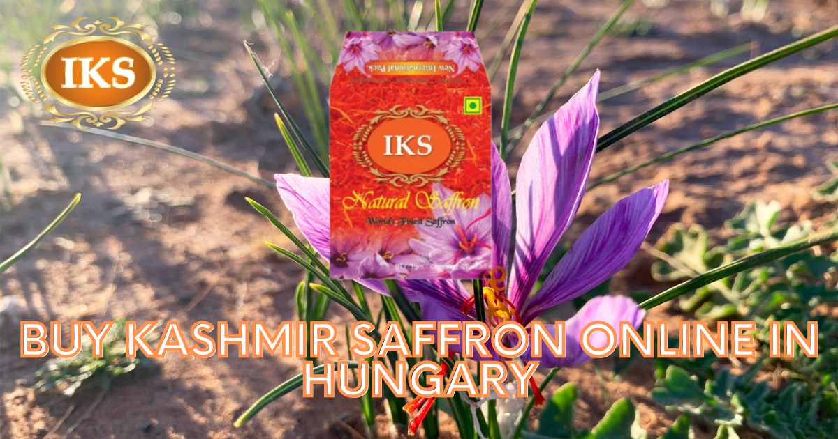 Buy Kashmir Saffron Online in Hungary | Best Quality Kashmir Kesar in Hungary | Pure Kumkumpuvvu in Hungary | Kashmiri Zafran in Hungary | Saffron Shop in Hungary | Pure Original Best Quality Authentic Kashmir Saffron in Hungary Budapest Debrecen Szeged Miskolc Pécs Győr Nyíregyháza Kecskemét