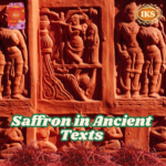 Saffron in Ancient Texts A Journey Through History