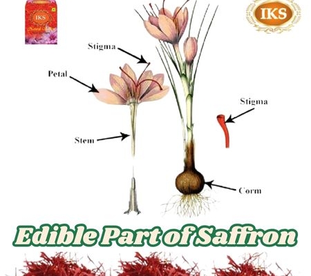 Edible Part of Saffron Secrets of This Luxurious Spice