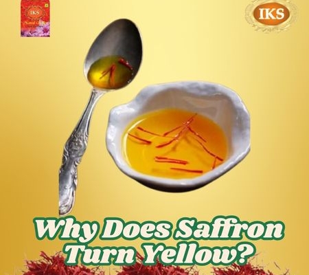 Why Does Saffron Turn Yellow Understanding the Science Behind the Golden Spice